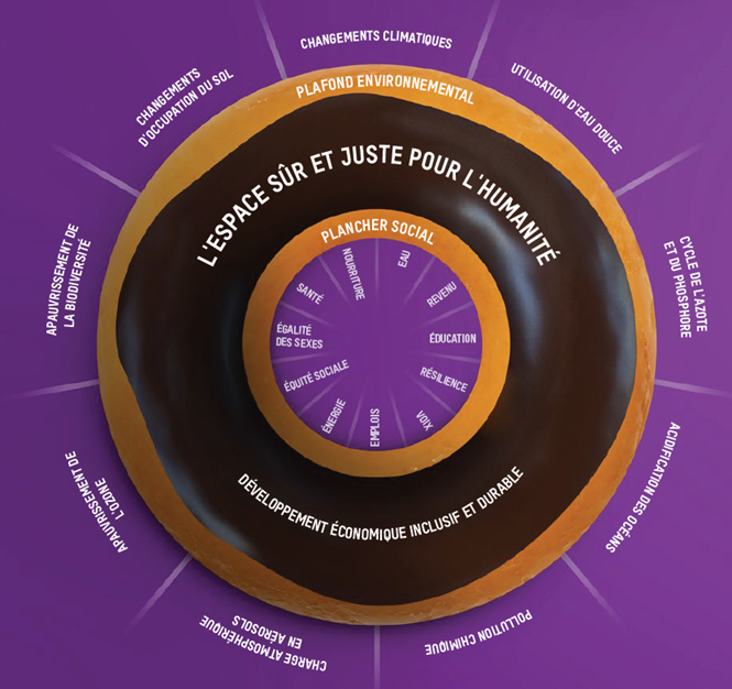 Economie circulaire : la théorie du Donut